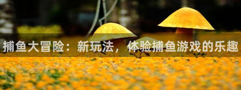 星欧娱乐：捕鱼大冒险：新玩法，体验捕鱼游戏的乐趣