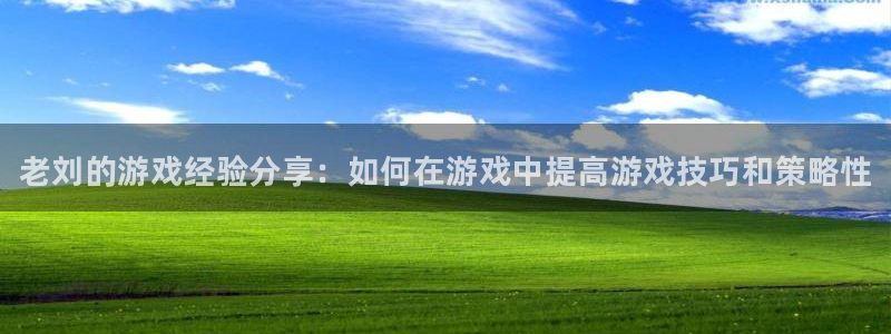 星欧娱乐app下载：老刘的游戏经验分享：如何在游戏中提高游戏