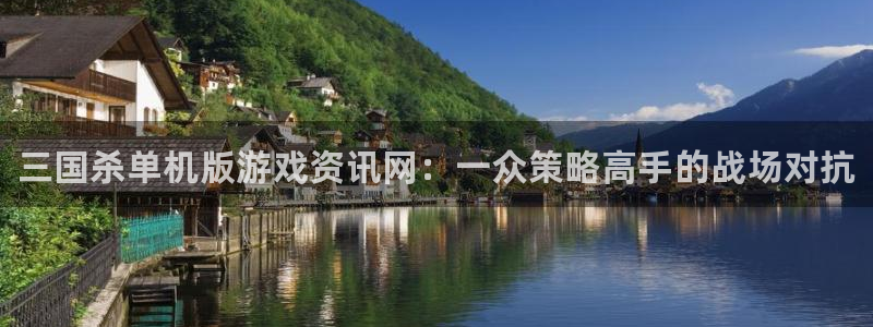 星欧娱乐注册开户：三国杀单机版游戏资讯网：一众策略高手的战场