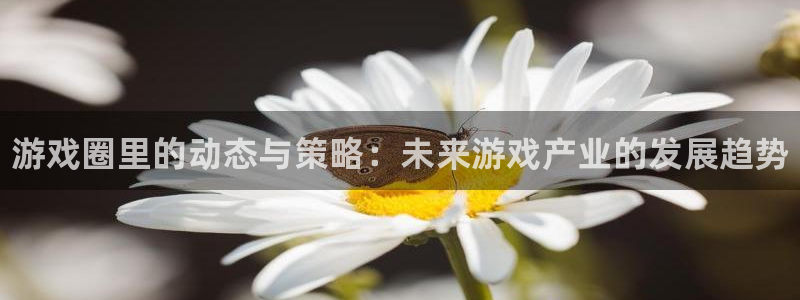星欧娱乐平台：游戏圈里的动态与策略：未来游戏产业的发展趋势