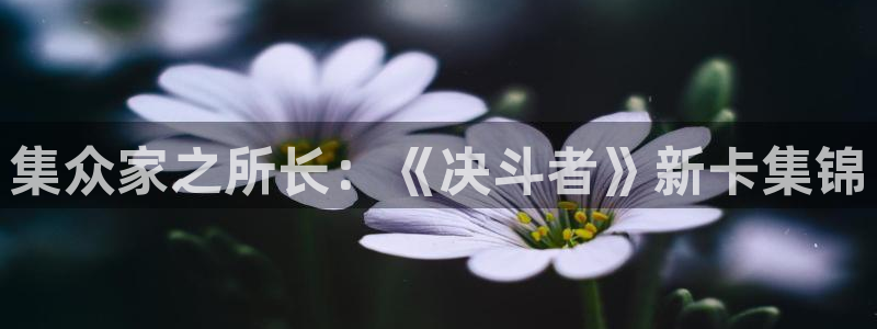 星欧娱乐登陆：集众家之所长：《决斗者》新卡集锦