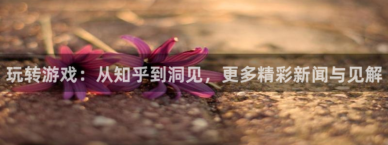 星欧娱乐4招商：玩转游戏：从知乎到洞见，更多精彩新闻与见解