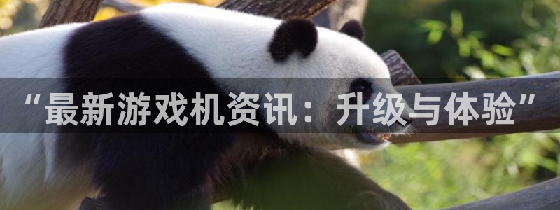 星欧娱乐注册测速：“最新游戏机资讯：升级与体验”