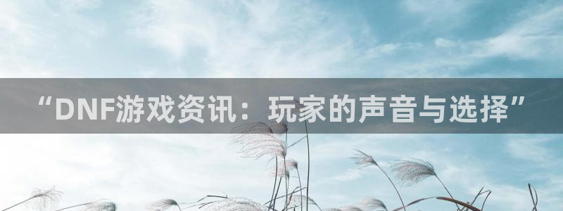 星欧娱乐什么意思：“DNF游戏资讯：玩家的声音与选择”