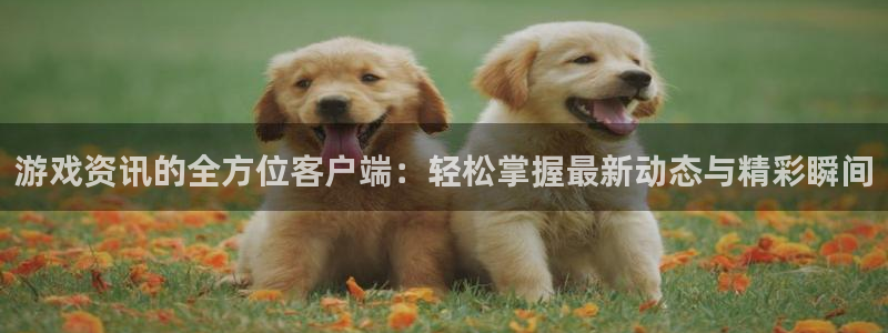 星欧娱乐升级5994月：游戏资讯的全方位客户端：轻松掌握最新