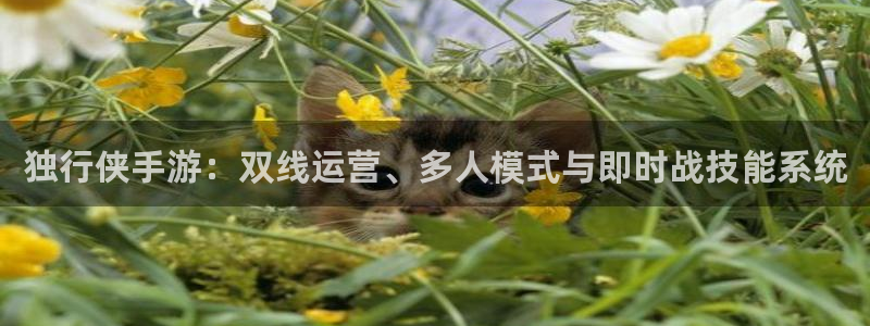 星欧娱乐4主管：独行侠手游：双线运营、多人模式与即时战技能系