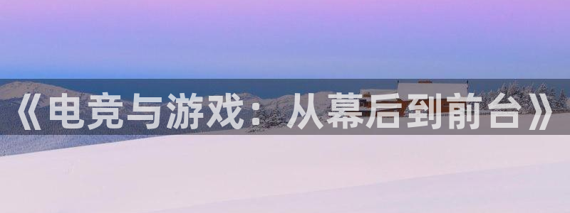 星欧娱乐注册开户：《电竞与游戏：从幕后到前台》